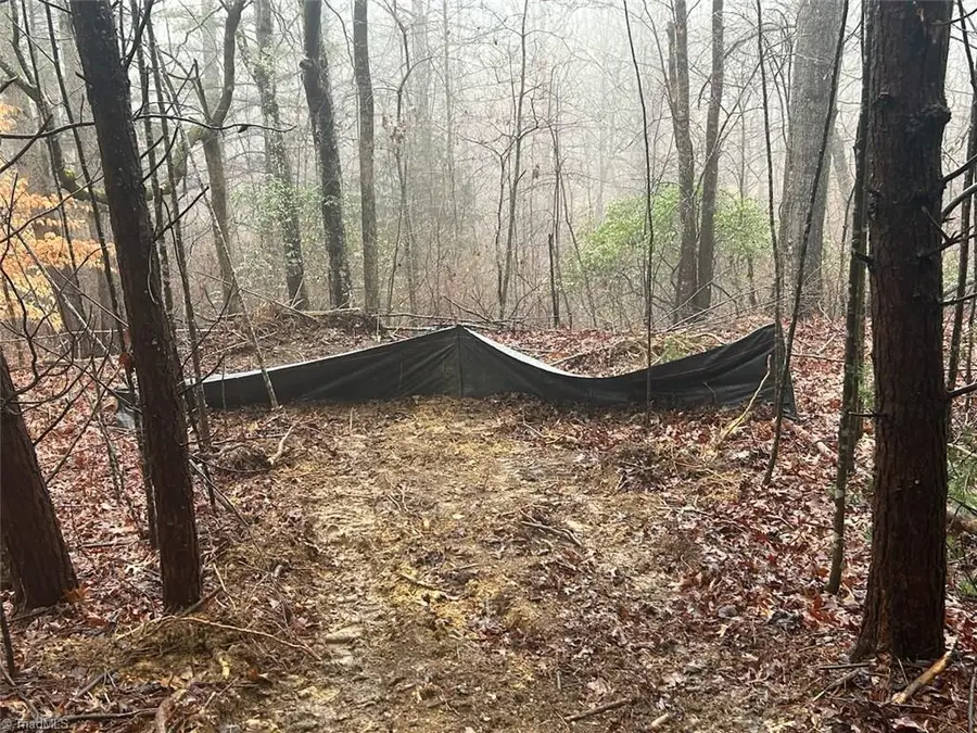 00 Whitaker Chapel Road #1, Pilot Mountain, NC 27041 - Image #2