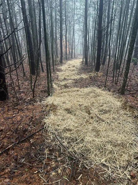 00 Whitaker Chapel Road #1, Pilot Mountain, NC 27041 - Image #3