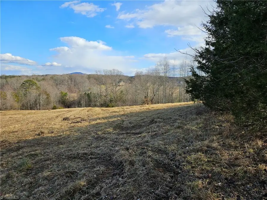 00 Whitaker Chapel Road #2, Pilot Mountain, NC 27041 - Image #3