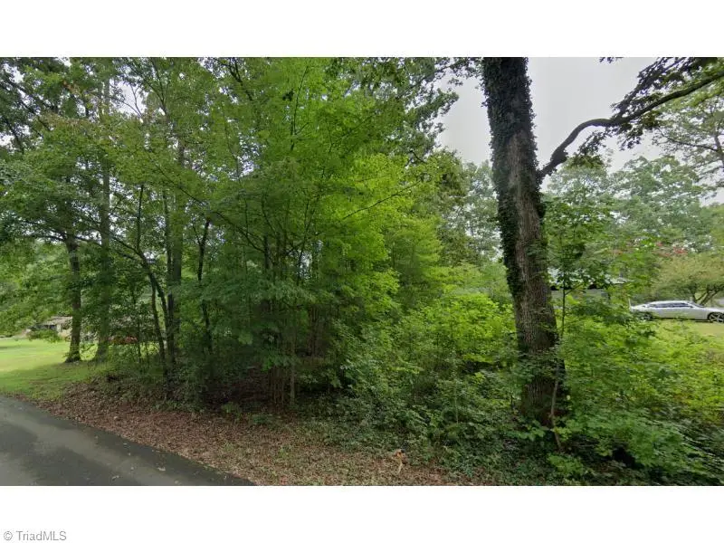 0 N Fayetteville Street, Liberty, NC 27298 - Image #2