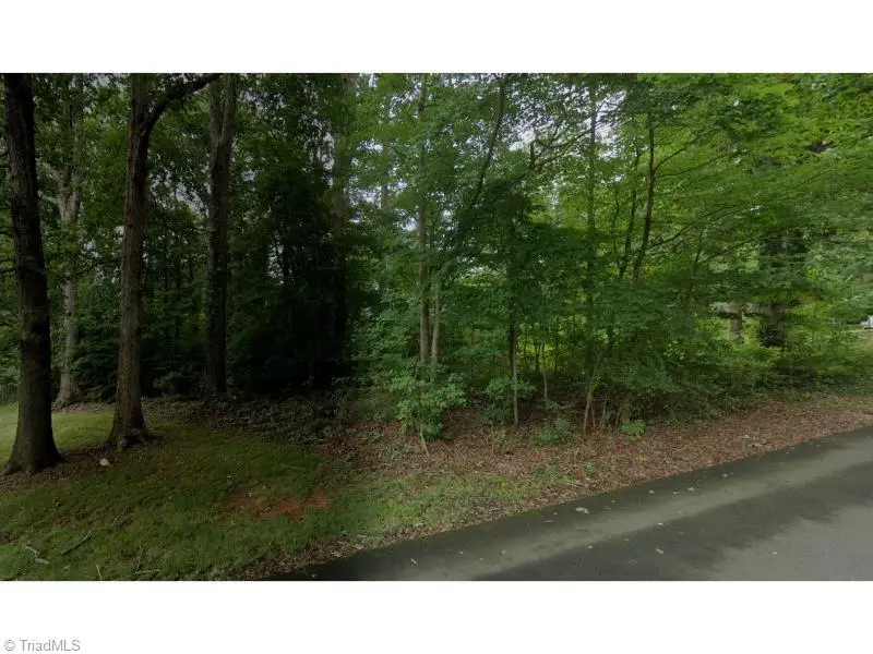 0 N Fayetteville Street, Liberty, NC 27298 - Image #3