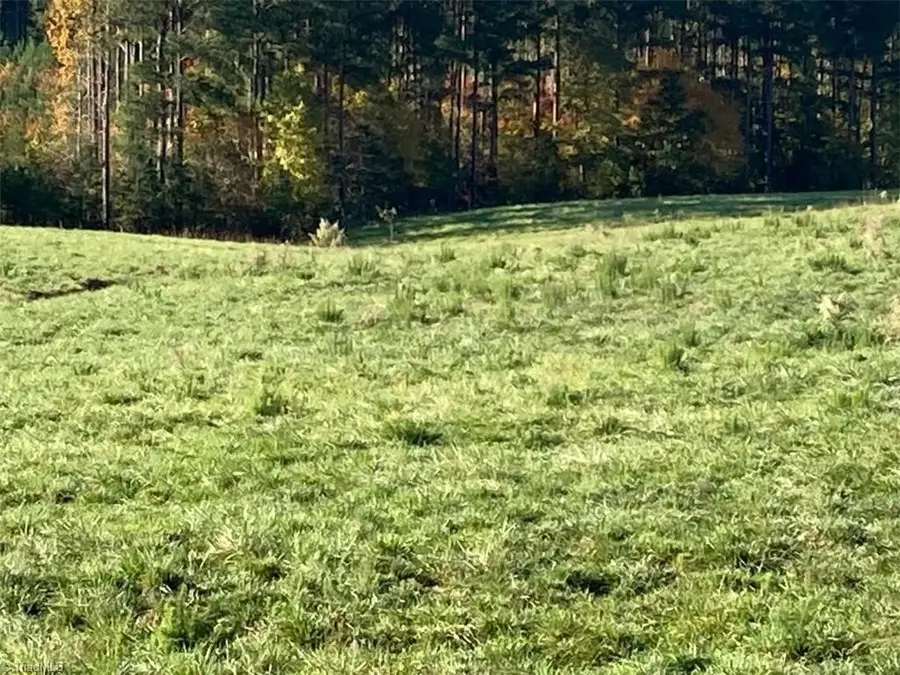 0 Mabe Road, Star, NC 27356 - Image #2