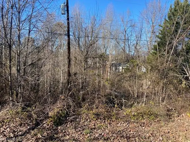 687 Elledge Mill Road, North Wilkesboro, NC 28659 - Image #2