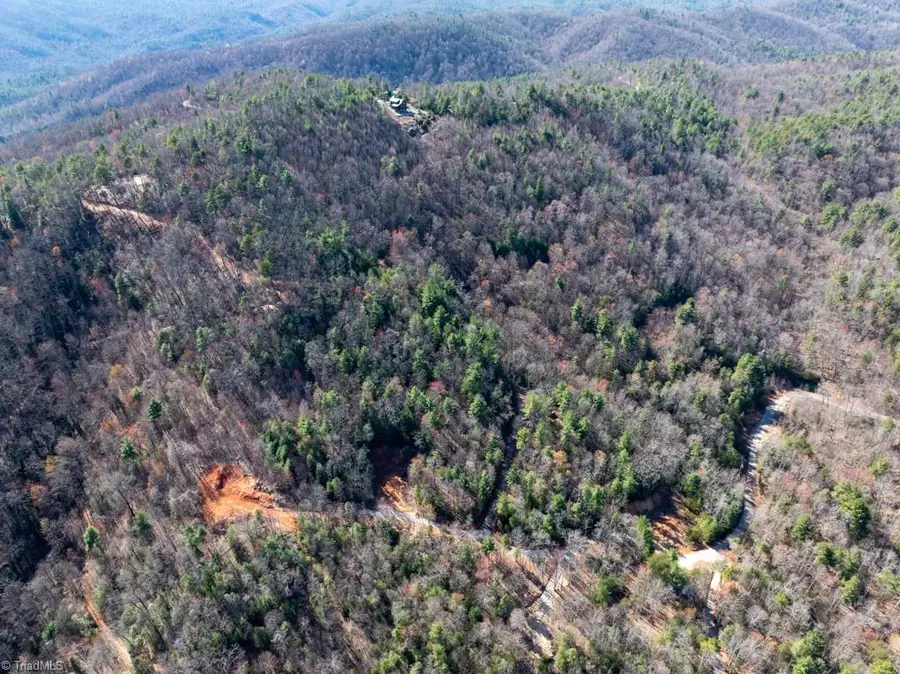 00 Staghorn Road, Purlear, NC 28665 - Image #2