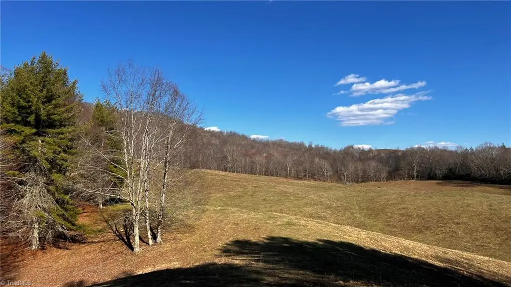 1266 Flatwoods School Road, Creston, NC 28615 - Image #1