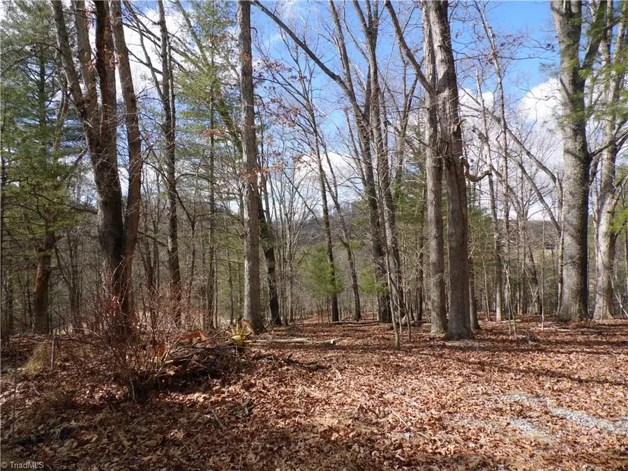 TBD Happy Woods Road, Grassy Creek, NC 28631 - Image #2