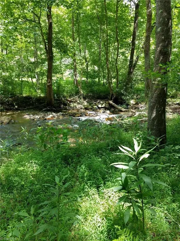 Address Withheld By Seller, McGrady, NC 28649 - Image #2