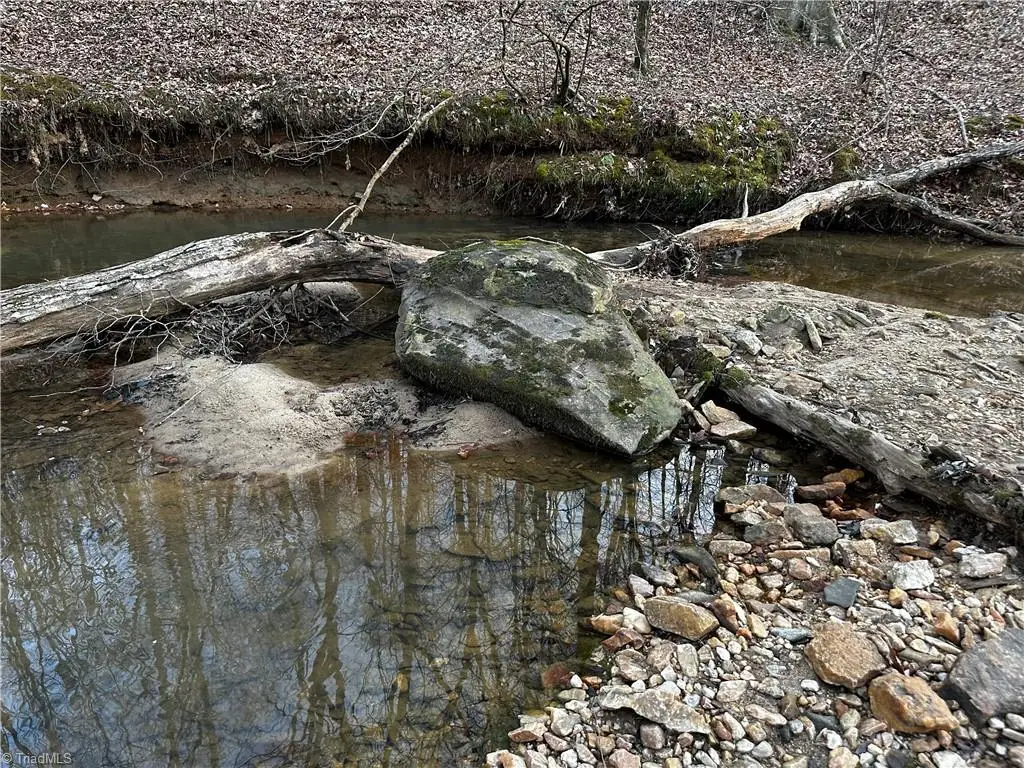 0 Farm Road, Pilot Mountain, NC 27041 - Image #1