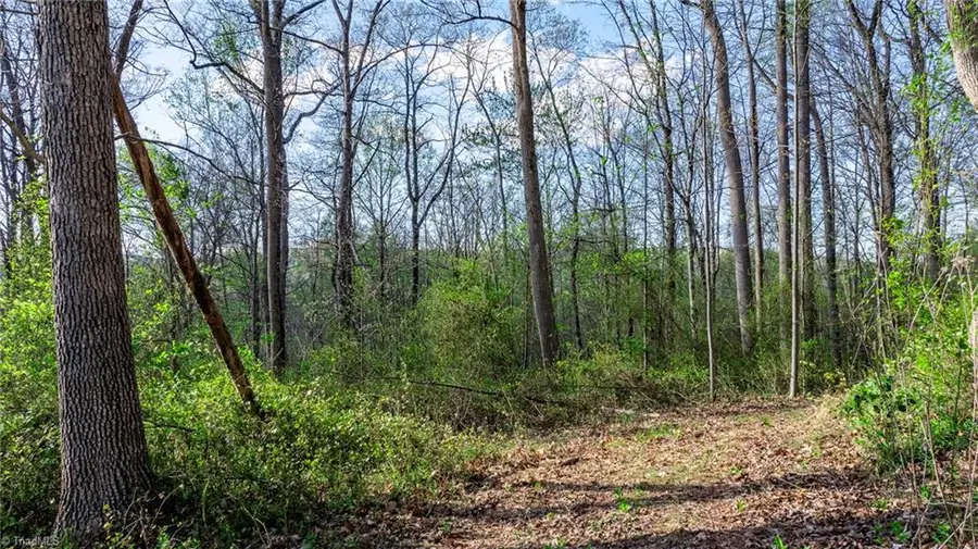 00 Somers Road, Somers, NC 28689 - Image #3