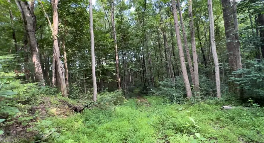 TBD-1 Peter Mabe Road, Danbury, NC 27016 - Image #2