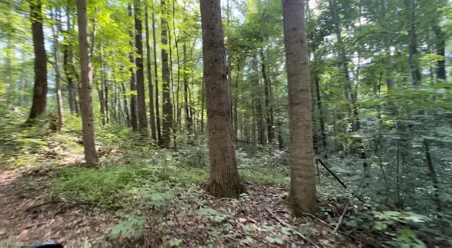 TBD-2 Peter Mabe Road, Danbury, NC 27016 - Image #3