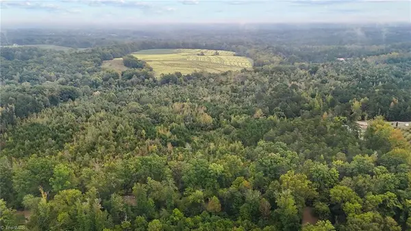 0 High Rock School Road, Blanch, NC 27212