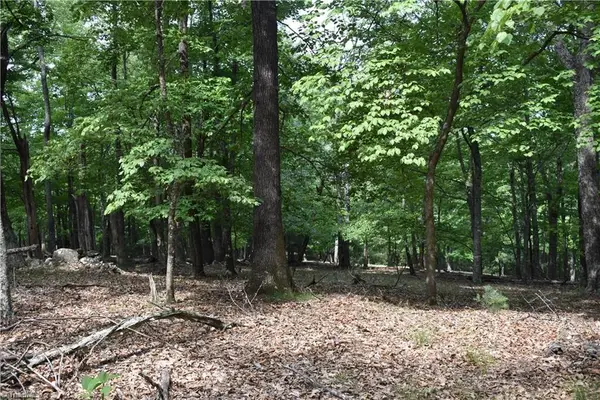 000 Grandview Circle, Traphill, NC 28685