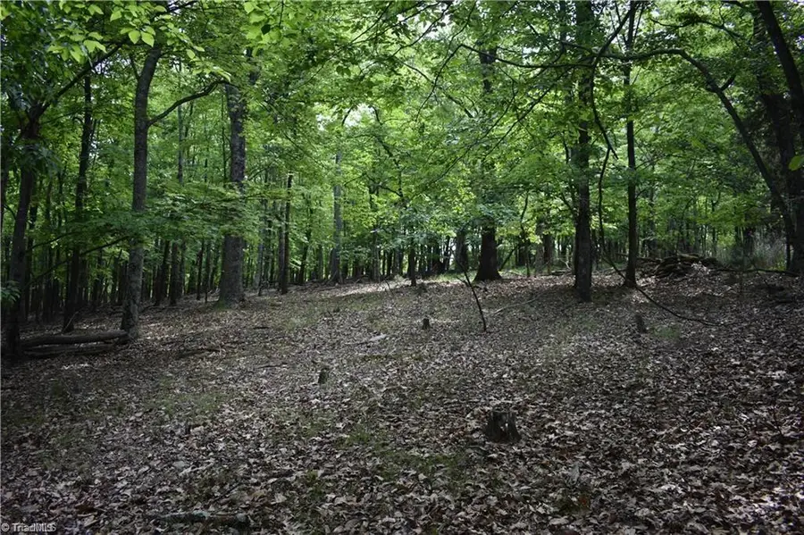 000 Grandview Circle, Traphill, NC 28685 - Image #3