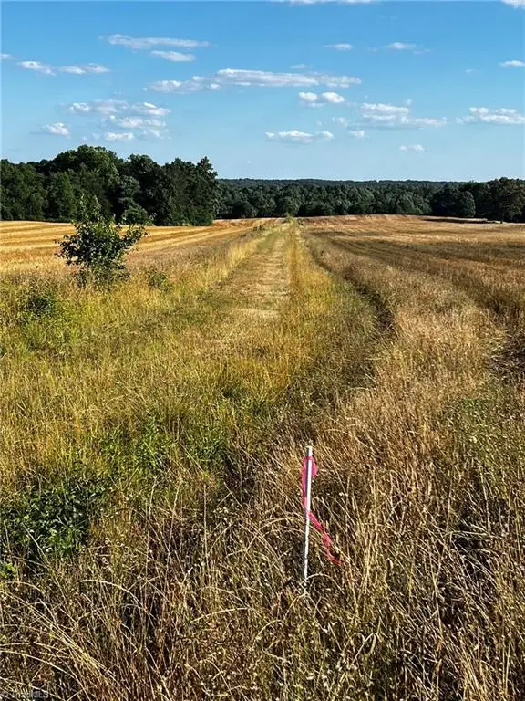 TBD Taylor Allen Drive, Yadkinville, NC 27055 - Image #2