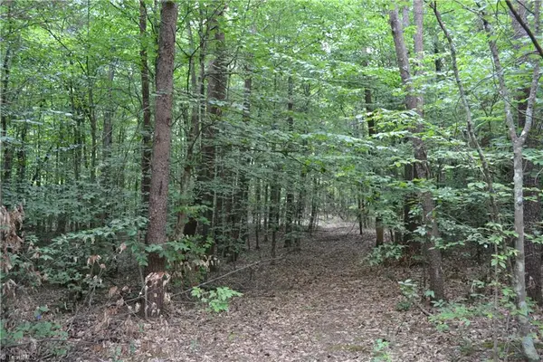 0 Aaron Lane, Madison, NC 27025