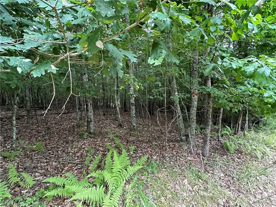 TBD Live Oak Lane, Galax, VA 24333 - Image #2