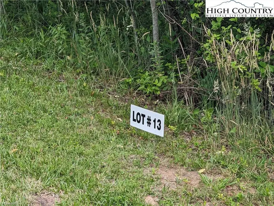 Lot 13 Briarwood Lane, Sparta, NC 28675 - Image #2