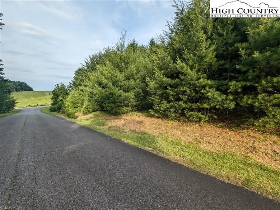 Lot 13 Briarwood Lane, Sparta, NC 28675 - Image #3