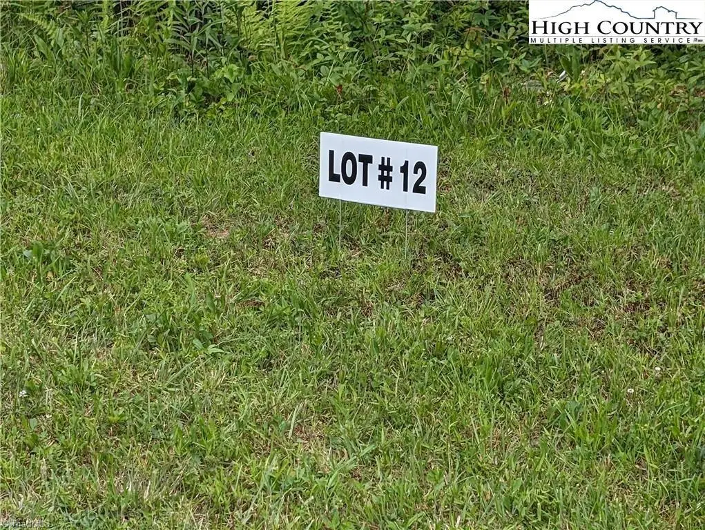 Lot 12 Briarwood Lane, Sparta, NC 28675 - Image #1