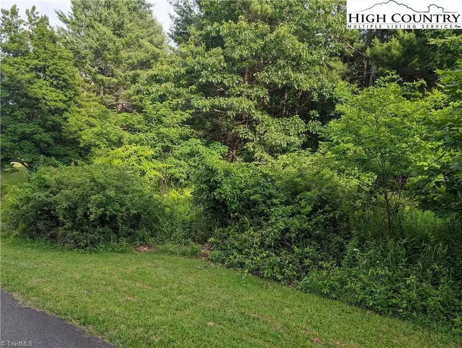 Lot 1 Briarwood Lane, Sparta, NC 28675 - Image #2