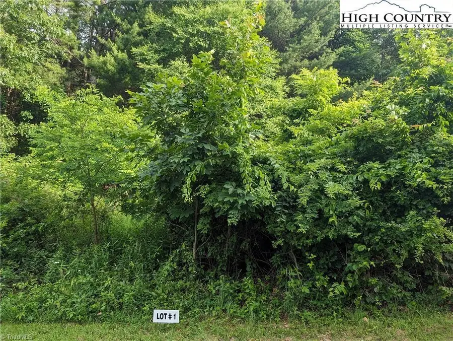 Lot 1 Briarwood Lane, Sparta, NC 28675 - Image #3