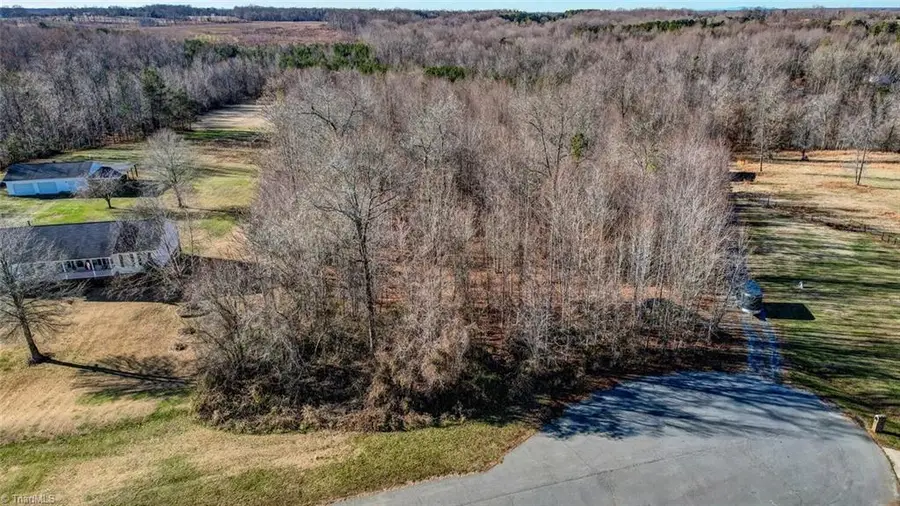 000 Sunset View Court, Browns Summit, NC 27214 - Image #2