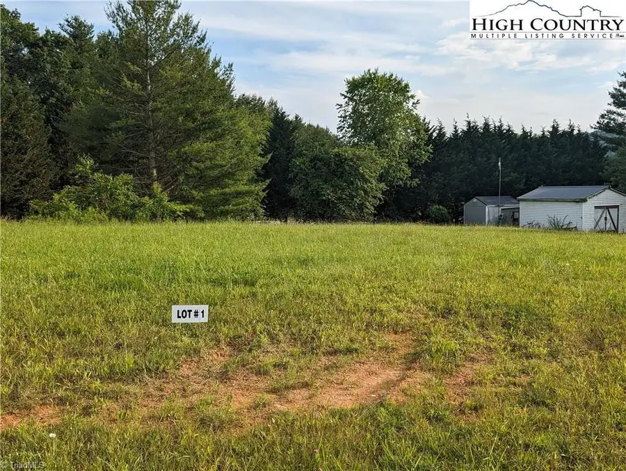 Lot 1 River Creek Drive, Sparta, NC 28675 - Image #2