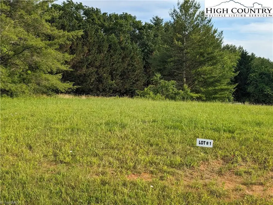 Lot 1 River Creek Drive, Sparta, NC 28675 - Image #3