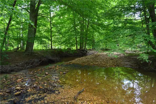 01 Bethesda Church Road #East Tract, Madison, NC 27025