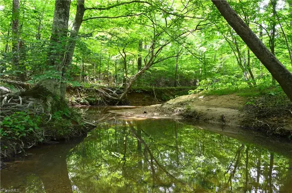 01 Dillard Road #West Tract, Madison, NC 27025