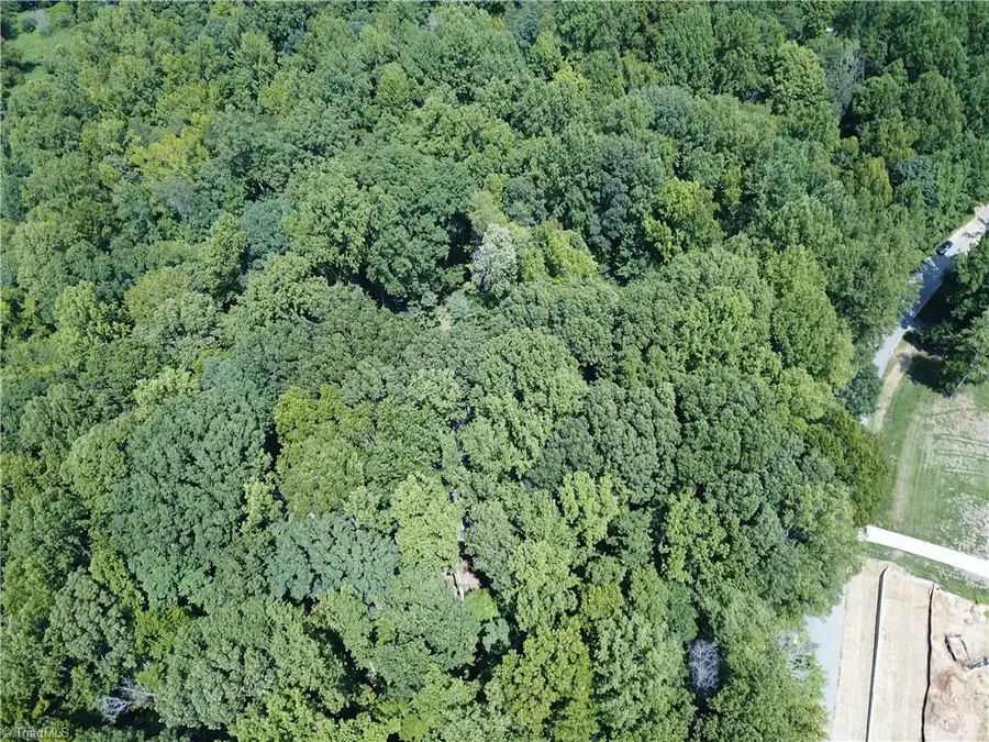 5421 Rambling Road, Greensboro, NC 27409 - Image #3