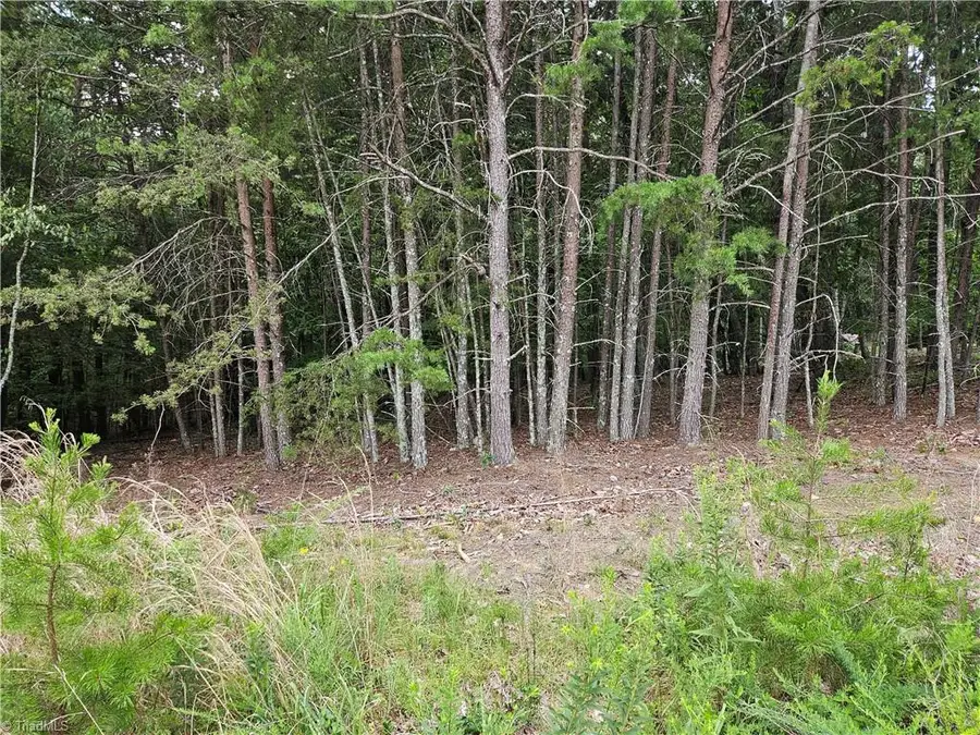 00 Knollcrest Drive #61, Pilot Mountain, NC 27041 - Image #2