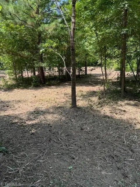 3166 Pleasant Grove Union School Road, Burlington, NC 27217 - #3