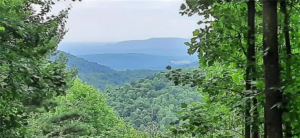 Lot 15 Dogwood Road, Moravian Falls, NC 28654 - Image #1