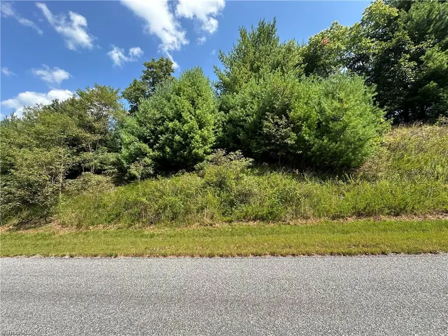 Lot 27E Cascade Run, Purlear, NC 28665 - Image #3