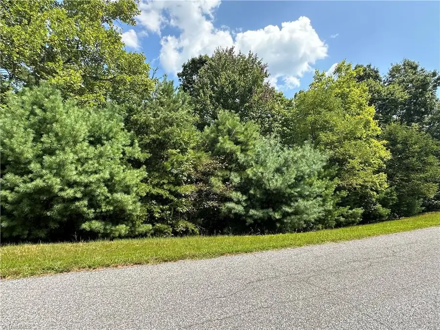 Lot 31E Cascade Run, Purlear, NC 28665 - Image #2