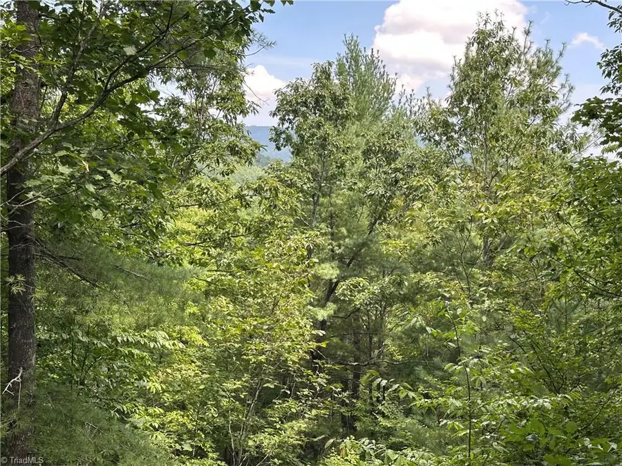 Lot 31E Cascade Run, Purlear, NC 28665 - Image #3