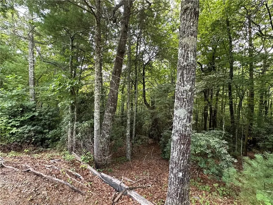 Lot 48E Cascade Run, Purlear, NC 28665 - Image #2