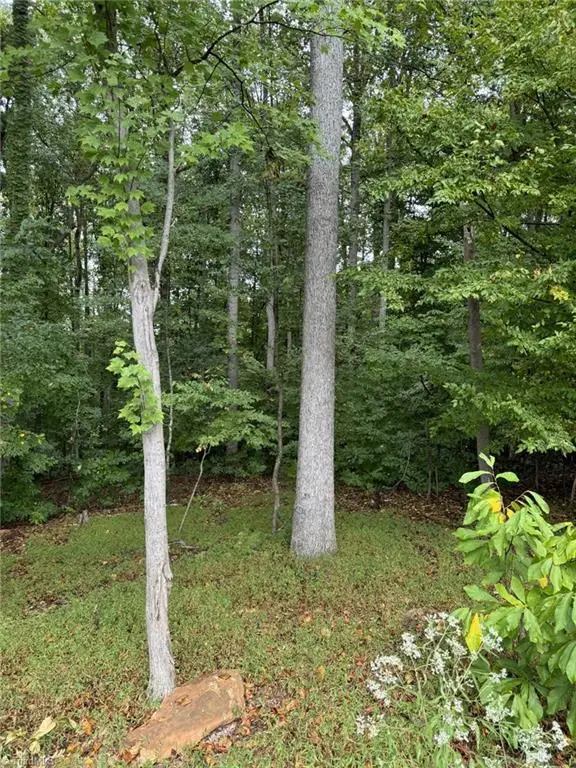 721 Surrey Path Trail, Winston Salem, NC 27104 - Image #2