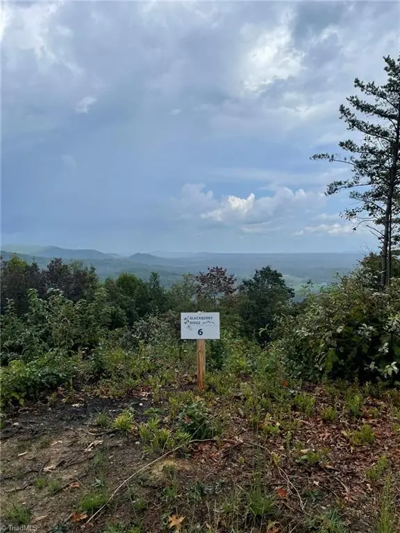 Tract 6 Blackberry Ridge Cabin Creek Road, Hays, NC 28635 - Image #3