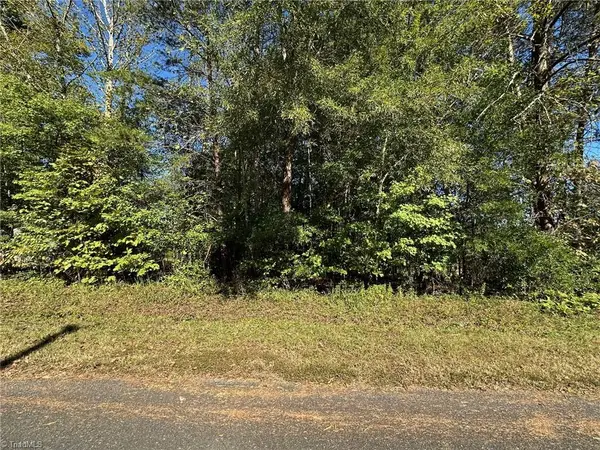 LOT 3 Reed Loop, Madison, NC 27025