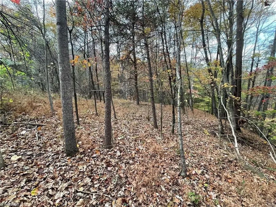 +/- 17.06 Johnson Road, King, NC 27021 - Image #3