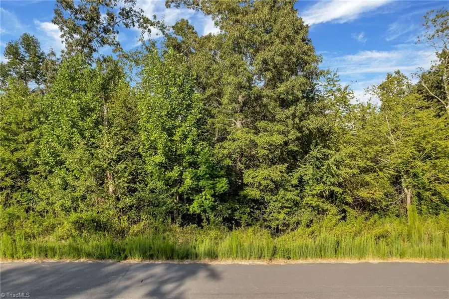 Lot 17 Regal Oaks Drive, Wilkesboro, NC 28697 - Image #2