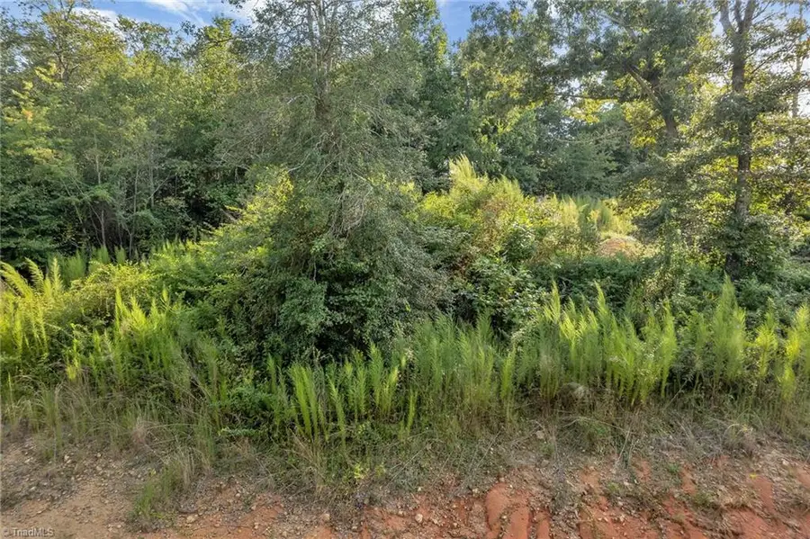 Lot 23 Regal Oaks Drive, Wilkesboro, NC 28697 - Image #3