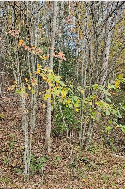 0 Moravian Creek Drive, Moravian Falls, NC 28645 - Image #2