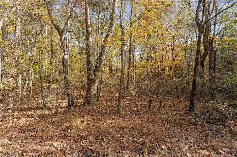 0 Jay Dee Drive, Broadbay, NC 27107 - Image #2