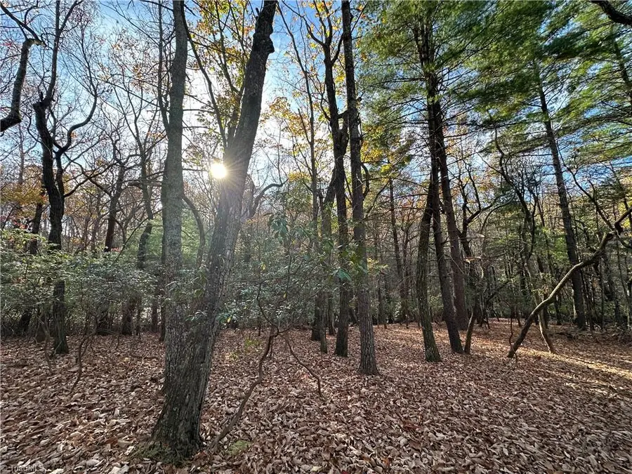 TBD Courtland Lane, Lowgap, NC 27024 - Image #2