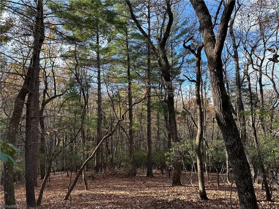 TBD Courtland Lane, Lowgap, NC 27024 - Image #3