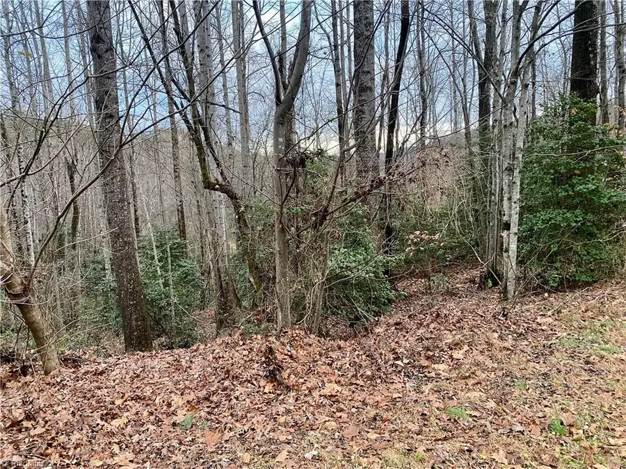 000 Autumn Place Lane, North Wilkesboro, NC 28659 - Image #2